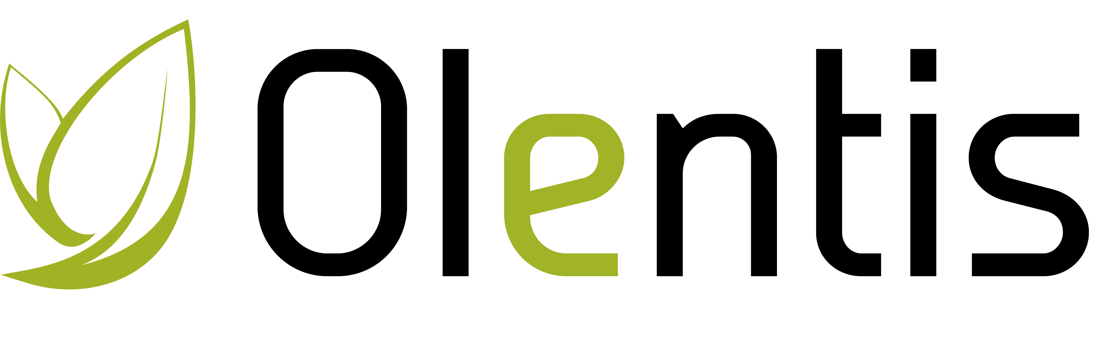 Primary Raster logo
